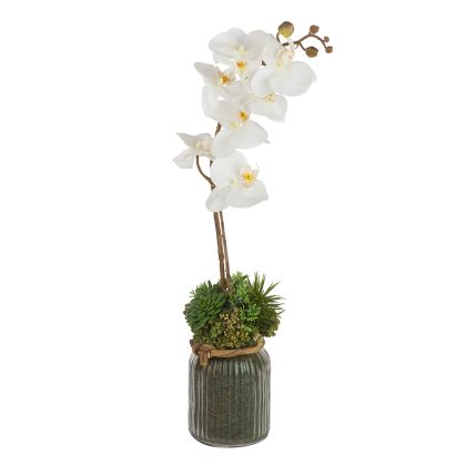 New Wish Studio Floral - Аранжировка орхидея - 65см.