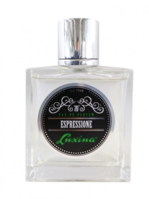 Luxina MAN - Парфюм за мъже-LUXINA PARFUM 100ml